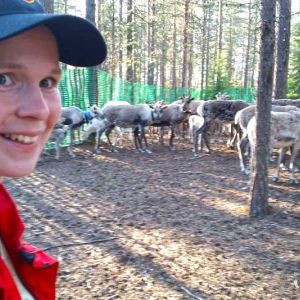 Porotilan kesä